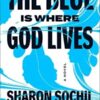 The Blue Is Where God Lives: A Novel By Sharon Sochil Washington