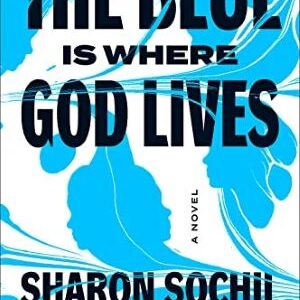 The Blue Is Where God Lives: A Novel By Sharon Sochil Washington